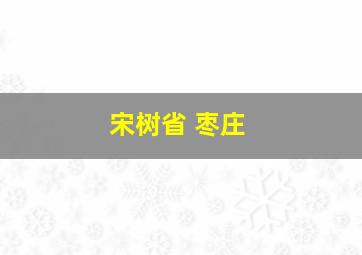 宋树省 枣庄